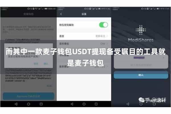 而其中一款麦子钱包USDT提现备受瞩目的工具就是麦子钱包