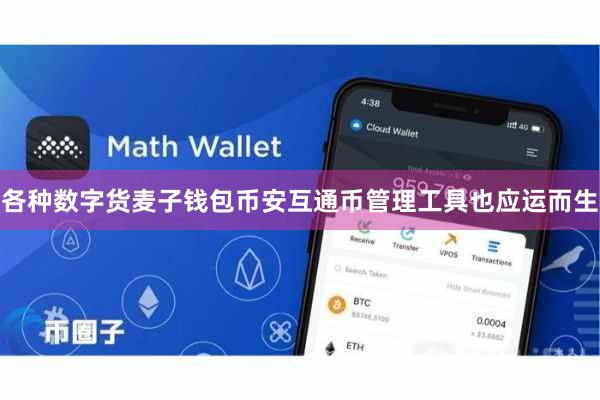 各种数字货麦子钱包币安互通币管理工具也应运而生