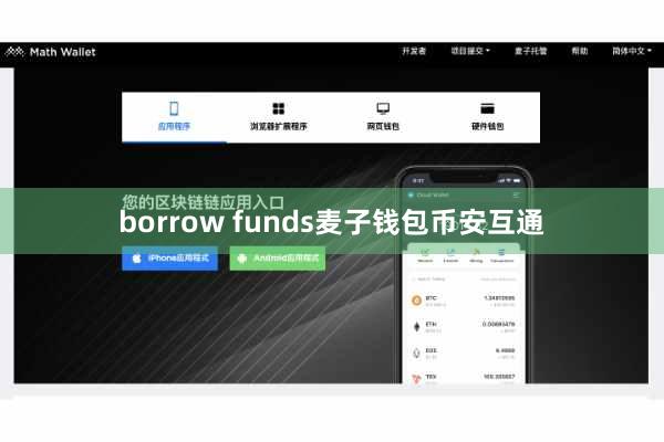 borrow funds麦子钱包币安互通