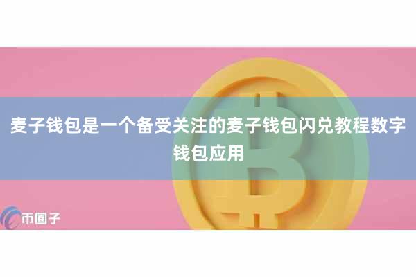 麦子钱包是一个备受关注的麦子钱包闪兑教程数字钱包应用