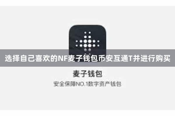 选择自己喜欢的NF麦子钱包币安互通T并进行购买