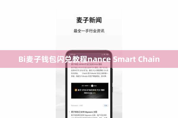 Bi麦子钱包闪兑教程nance Smart Chain