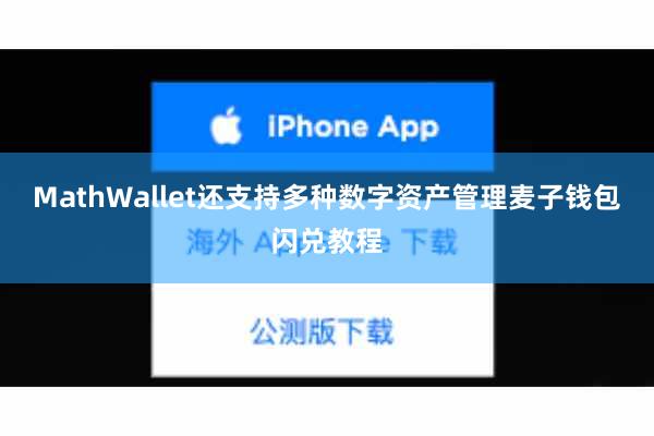 MathWallet还支持多种数字资产管理麦子钱包闪兑教程